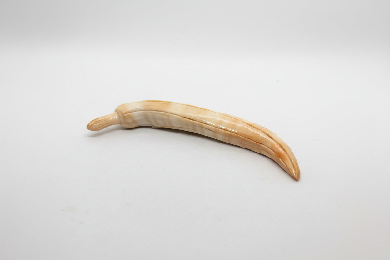 Suppellettile in Conchiglia incisione "Peperoncino"