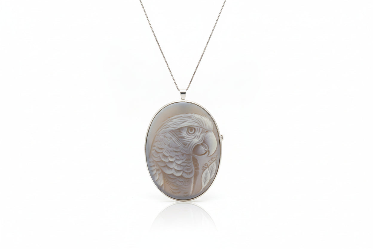 Pendente Spilla in Agata incisione "Pappagallo Portobello"