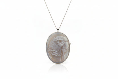 Pendente Spilla in Agata incisione "Pappagallo Portobello"