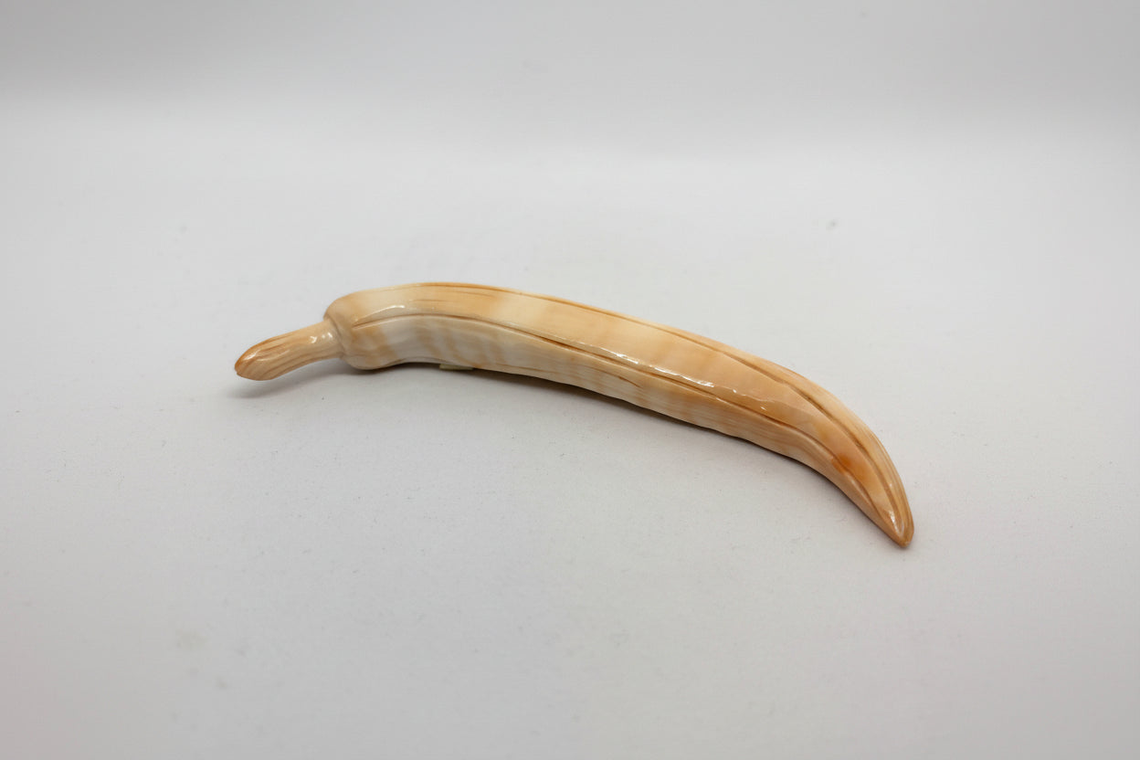 Suppellettile in Conchiglia incisione "Peperoncino"