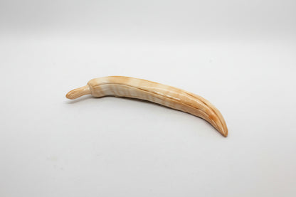 Suppellettile in Conchiglia incisione "Peperoncino"