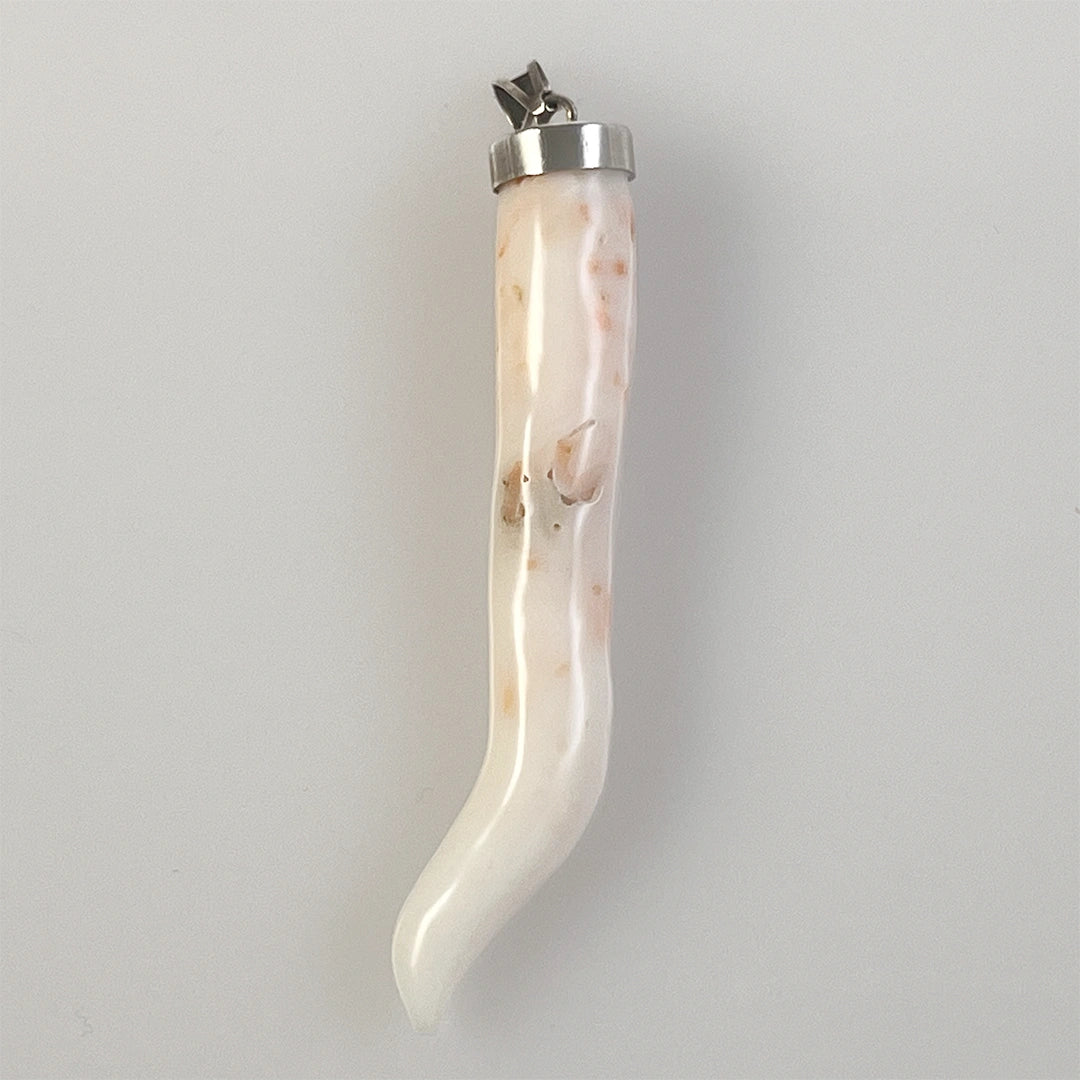 Lucky Horn Coral Pendant