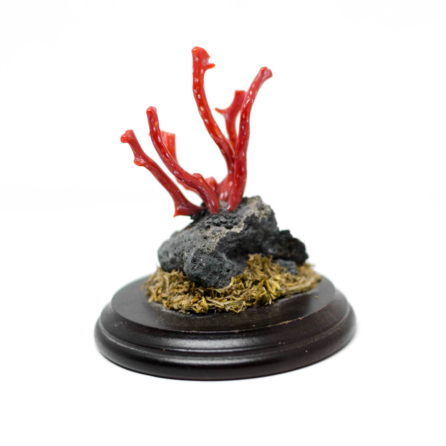 Lucky ornament coral branches