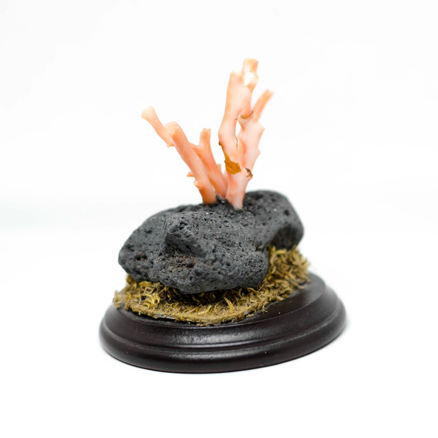 Pink coral and lava stone furnishings