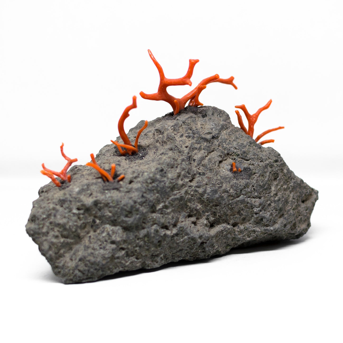 Coral and lava stone furnishings