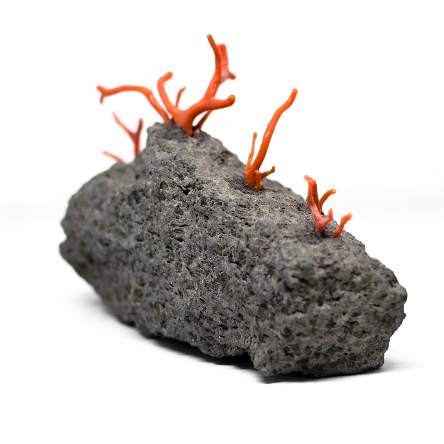 Coral and lava stone furnishings