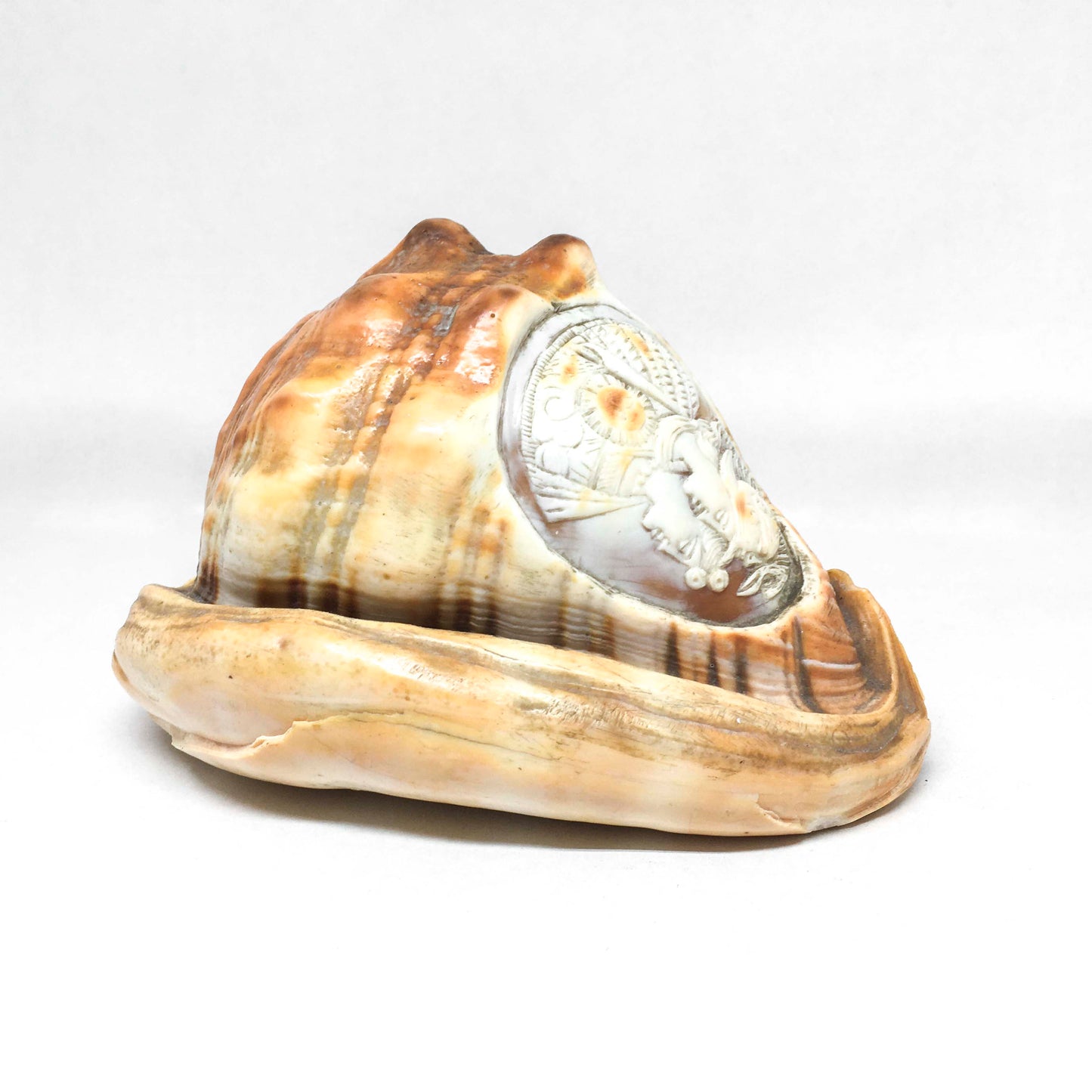 Cameo ornament on shell