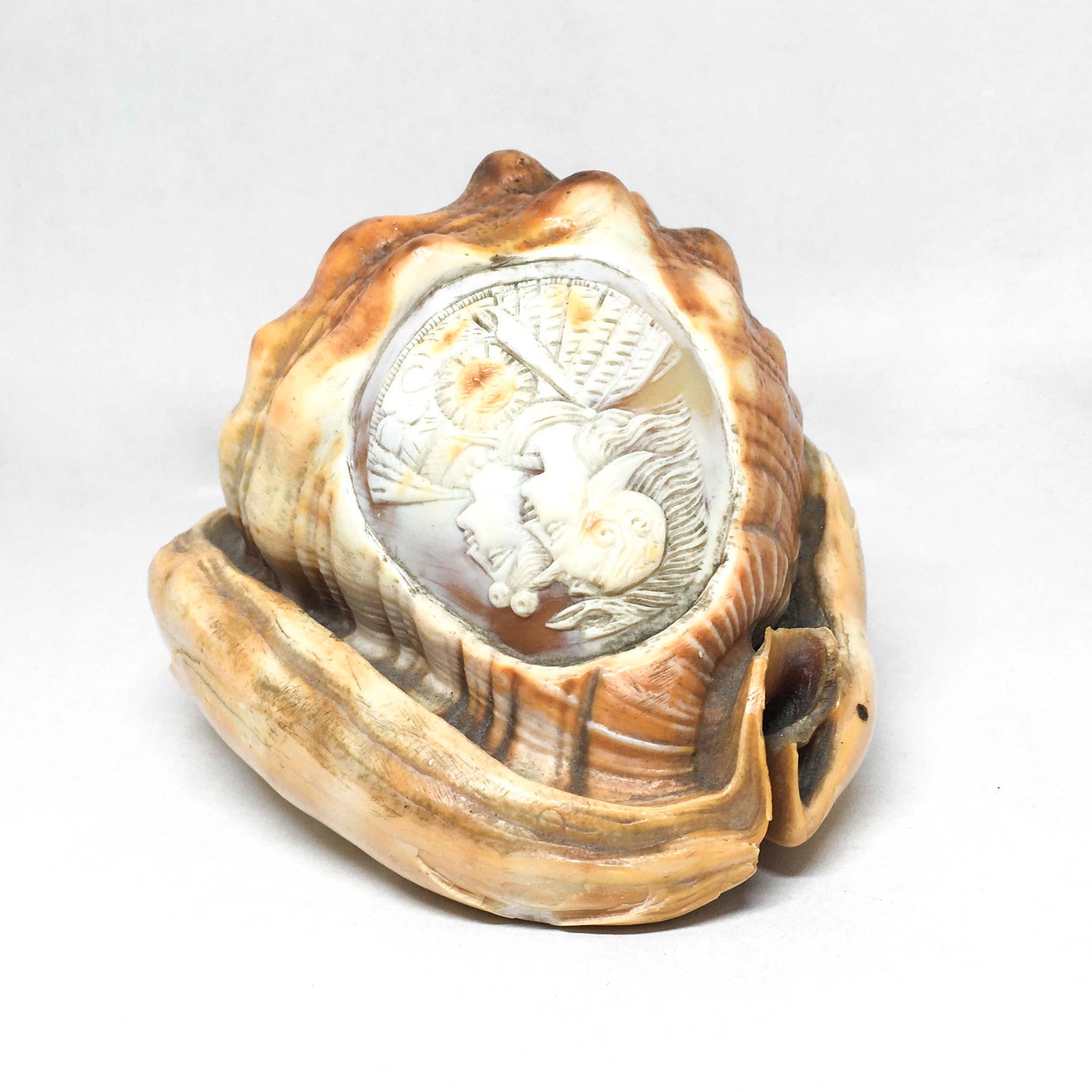 Cameo ornament on shell