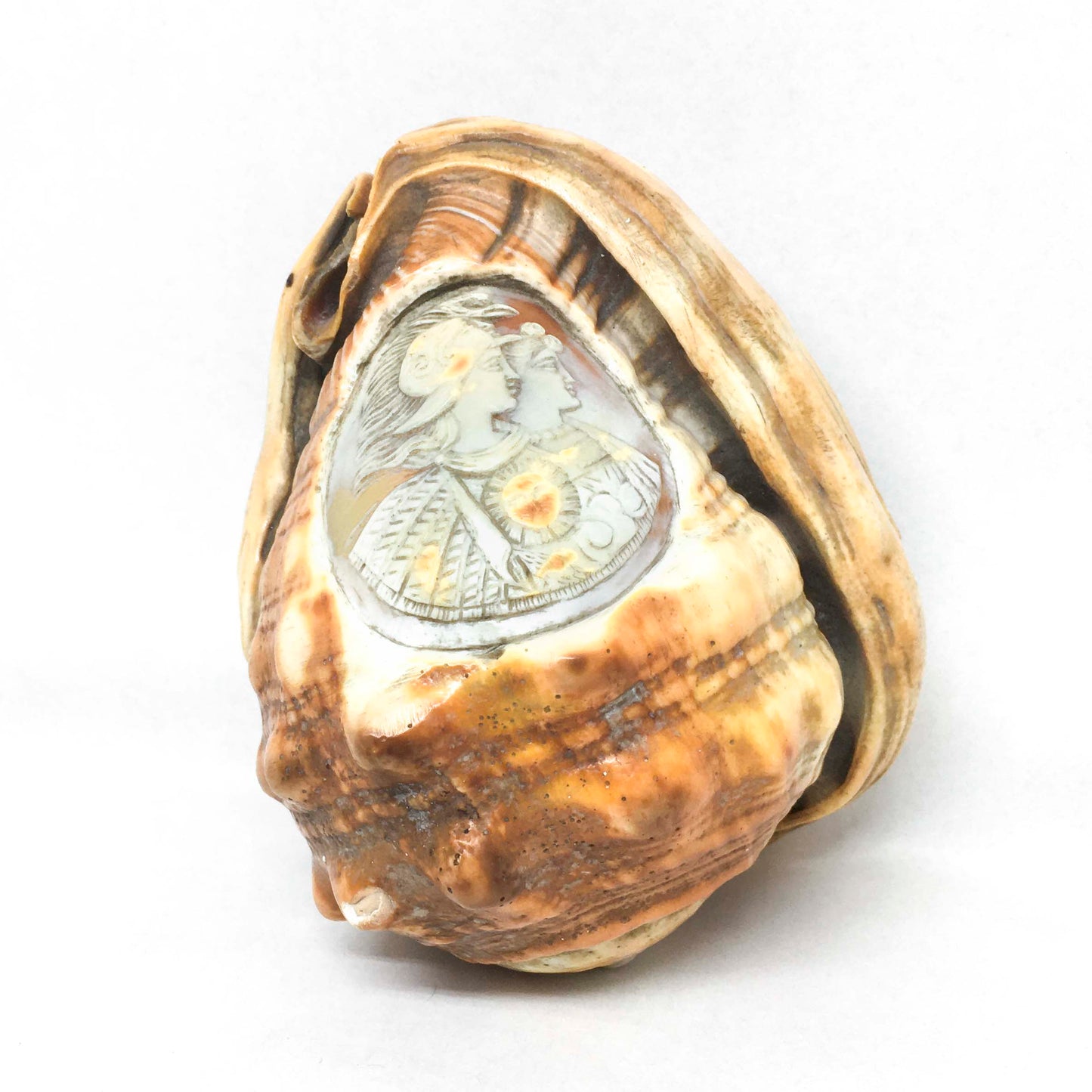 Cameo ornament on shell