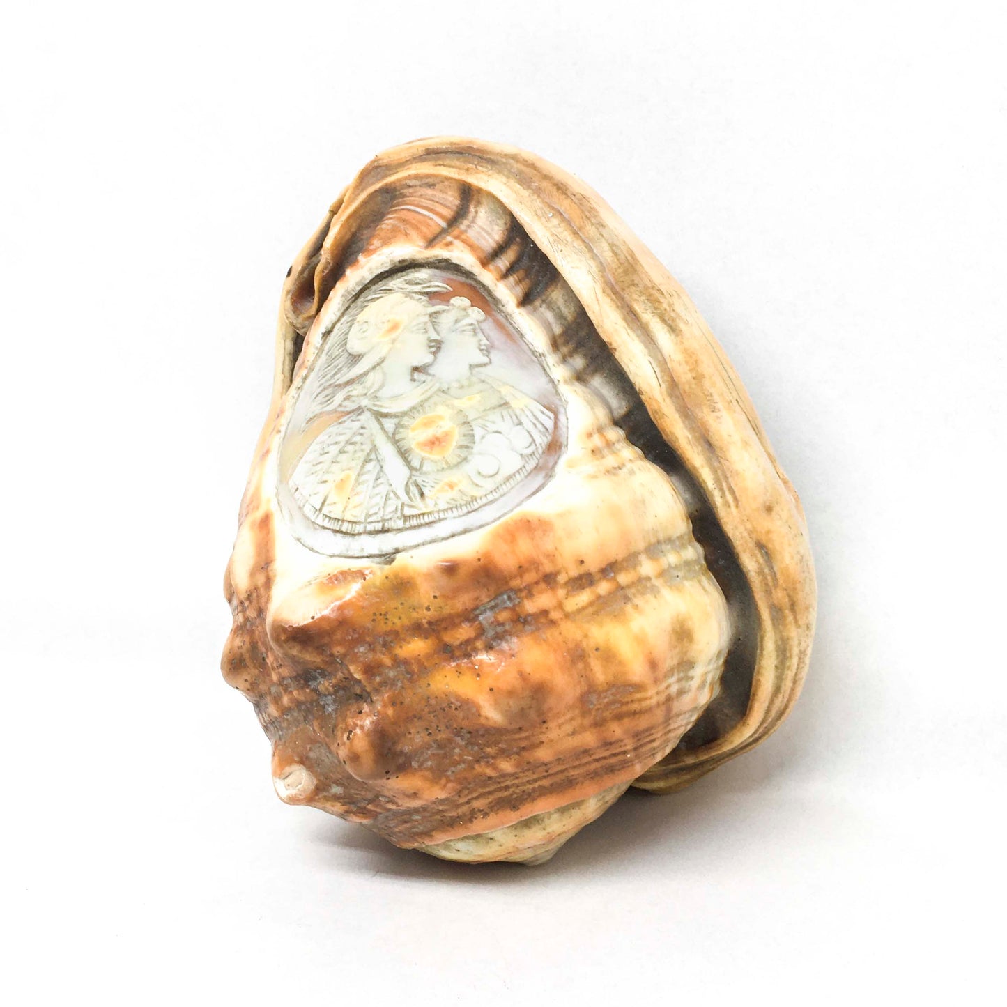 Cameo ornament on shell