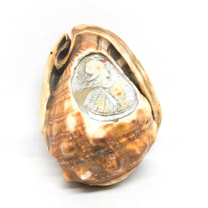 Cameo ornament on shell